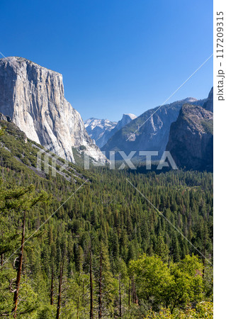 El Capitan mountain in Yosemite National Park 117209315