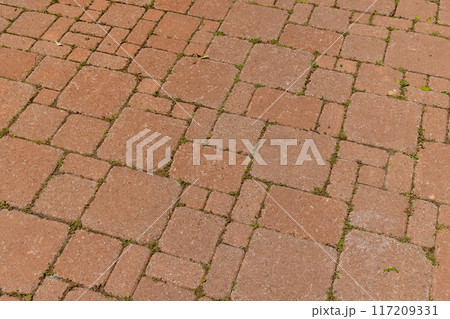 Texture and detail of a brick footpath Texture and detail of a brick footpath 117209331
