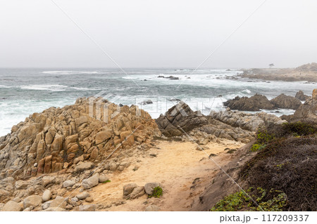 Coastal landscape in California 117209337