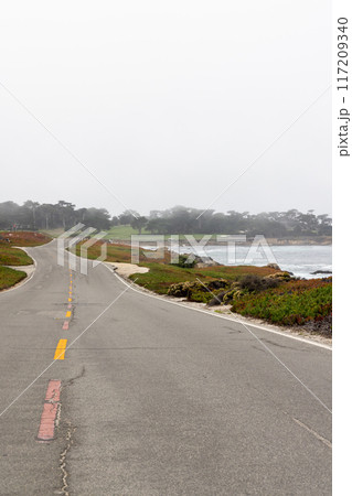 Coastal landscape in California 117209340