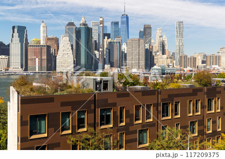 New York City skyline 117209375