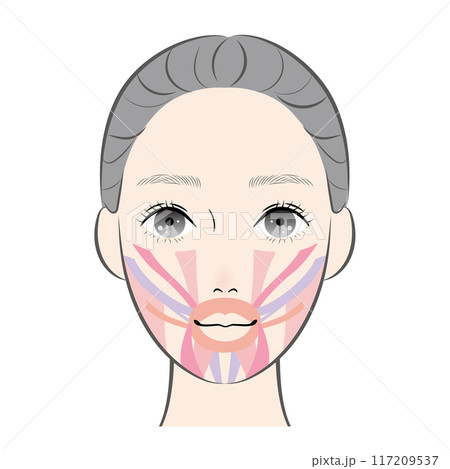 口の周りの筋肉 口の周りの筋肉 117209537