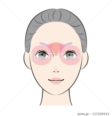 目と眉毛の周りの筋肉 117209541