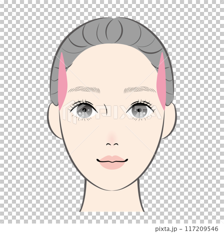 顳肌 顳肌 117209546