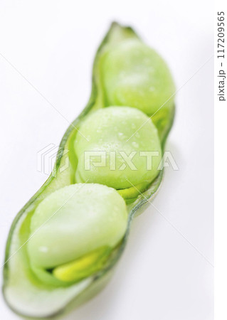 新鮮なそら豆 117209565