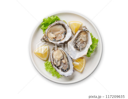 Fresh oysters with lemon on plate Fresh oysters with lemon on plate 117209635
