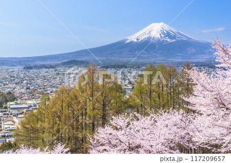 新倉山浅間公園の春景色 満開の桜と富士山と街並み【山梨県・富士吉田市】 新倉山浅間公園の春景色 満開の桜と富士山と街並み【山梨県・富士吉田市】 117209657