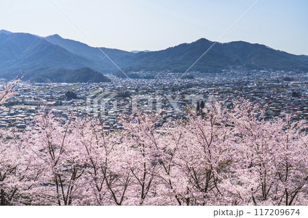 新倉山浅間公園から見た桜と街並み【山梨県・富士吉田市】 新倉山浅間公園から見た桜と街並み【山梨県・富士吉田市】 117209674