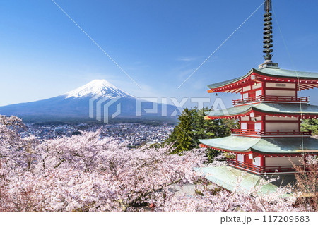 新倉山浅間公園の春景色、桜と富士山と忠霊塔【山梨県・富士吉田市】 新倉山浅間公園の春景色、桜と富士山と忠霊塔【山梨県・富士吉田市】 117209683