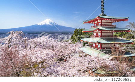 新倉山浅間公園の春景色 桜と富士山と忠霊塔【山梨県・富士吉田市】 新倉山浅間公園の春景色 桜と富士山と忠霊塔【山梨県・富士吉田市】 117209685