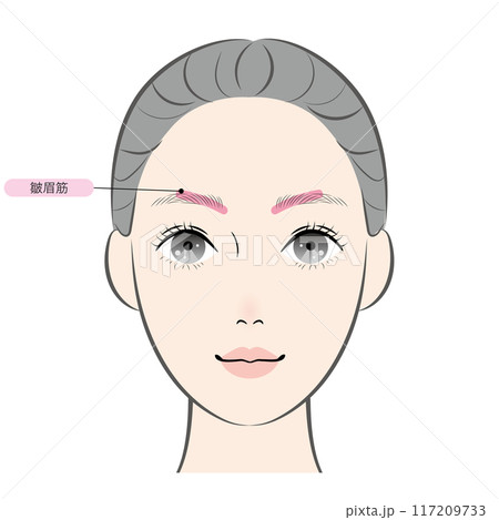 皺眉筋（名称あり） 117209733