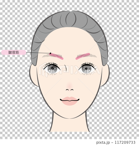 皺眉筋（名称あり） 117209733