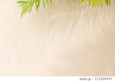 Template wall with leaves shadow Template wall with leaves shadow 117209747