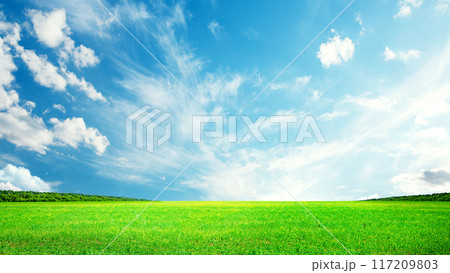 Summer landscape with green field and sky 117209803