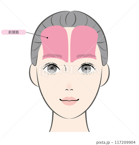 前頭筋（名称あり） 117209904