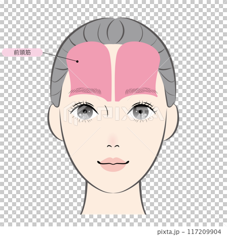 額肌(含名) 額肌(含名) 117209904