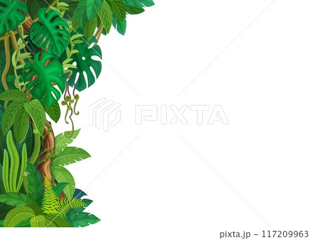 Tropical jungle forest lianas and monstera leaves background, vector corner frame. Cartoon tropical liana and ivy branches or creeper plant vines of monstera leaves on white blank background 117209963