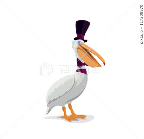 Circus pelican bird character in magician hat on funfair carnival, cartoon vector. Circus tamed animal, funny pelican bird in gentleman cylinder hat, kids circus show and shapito cartoon character Circus pelican bird character in magician hat on funfair carnival, cartoon vector. Circus tamed animal, funny pelican bird in gentleman cylinder hat, kids circus show and shapito cartoon character 117209970