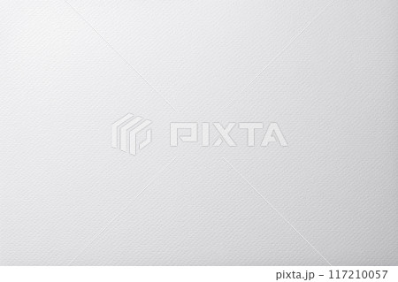キャンバス調の質感のある白い水彩紙の背景テクスチャー 117210057