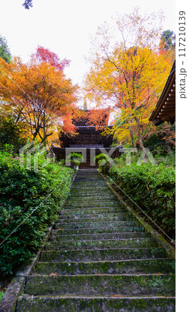 伝統的な日本の風景、秋の紅葉と歴史的建物、寺 伝統的な日本の風景、秋の紅葉と歴史的建物、寺 117210139