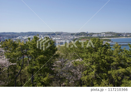 桜満開の春の野島公園 桜満開の春の野島公園 117210366
