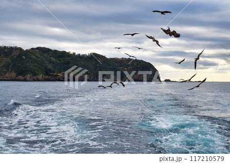 下田港　黒船サスケハナからの風景（静岡県下田市） 117210579