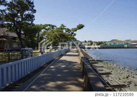 桜満開の春の野島公園 117210580