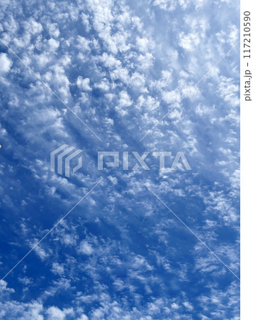 春の空の青空 117210590