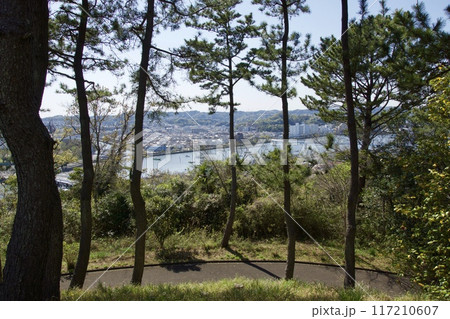 桜満開の春の野島公園 桜満開の春の野島公園 117210607