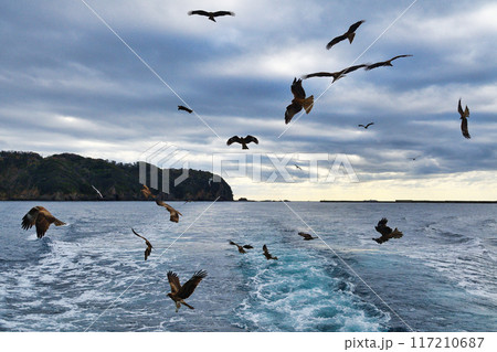 下田港　黒船サスケハナからの風景（静岡県下田市） 117210687
