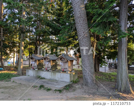 夏の埼玉県蓮田市にある久伊豆神社の境内の社の様子 117210753