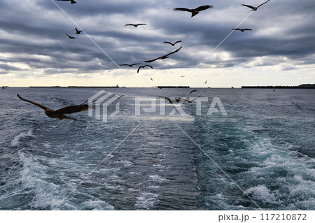 下田港 黒船サスケハナからの風景(静岡県下田市) 下田港 黒船サスケハナからの風景(静岡県下田市) 117210872