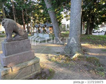 埼玉県蓮田市にある久伊豆神社の狛犬と社の様子 117210873