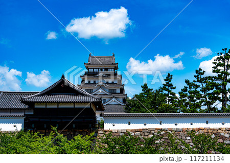 青空に映える天守閣 青空に映える天守閣 117211134