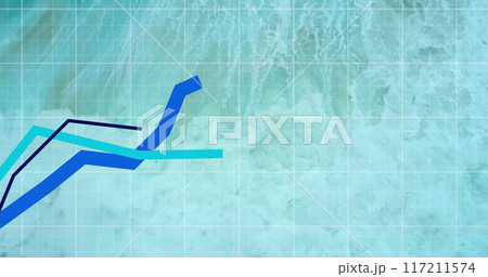 Image of blue lines and financial data processing over seascape Image of blue lines and financial data processing over seascape 117211574