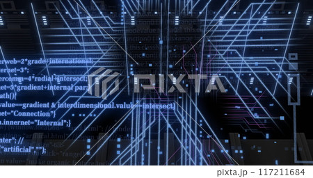 Image of digital data processing and circuit board over computer servers 117211684