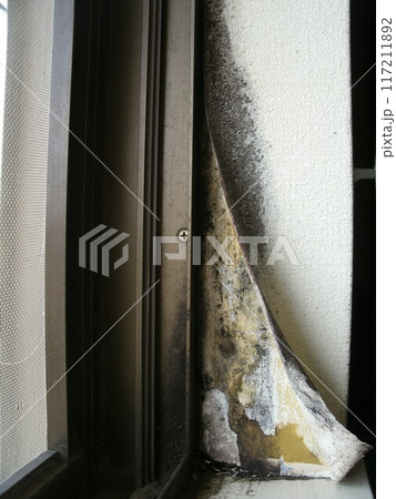 風通しが悪く結露する窓際の、黒カビが発生して剥がれた壁紙 117211892