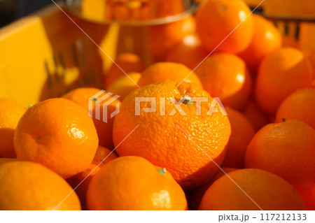 Ripe tangerines in a basket, close-up. Ripe tangerines in a basket, close-up. 117212133