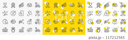 Outline Bike, Best friend and Leadership line icons pack for web with Dumbbell, Arena, Mountain bike line icon. Timer, Bicycle parking, Fishing rod pictogram icon. Training results. Vector 117212565