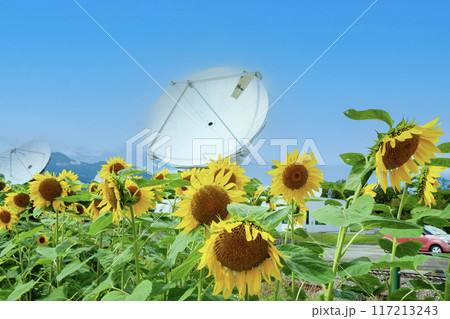 国立天文台　野辺山宇宙電波観測所 117213243