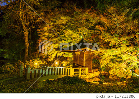 【静岡県】法多山尊永寺　境内　ライトアップ 117213806