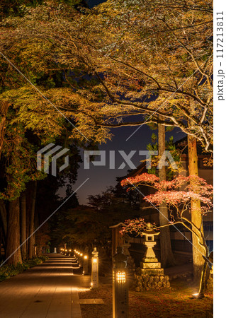 【静岡県】法多山尊永寺 境内 ライトアップ 【静岡県】法多山尊永寺 境内 ライトアップ 117213811