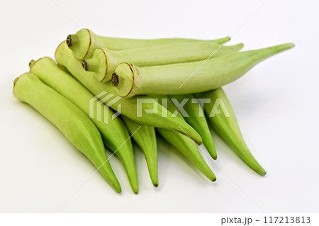 オクラ（白オクラ） 117213813