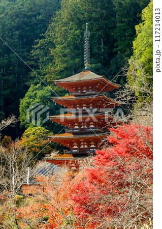 奈良 真言宗豊山派総本山大和国長谷寺 紅葉の五重塔 奈良 真言宗豊山派総本山大和国長谷寺 紅葉の五重塔 117214013