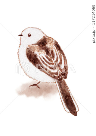 シマエナガ 117214069