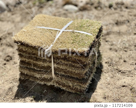 束にした芝生 117214109