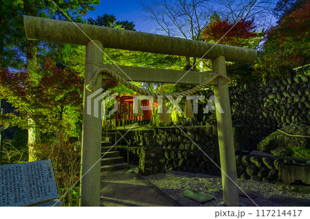 【静岡県】法多山尊永寺 境内 ライトアップ 【静岡県】法多山尊永寺 境内 ライトアップ 117214417
