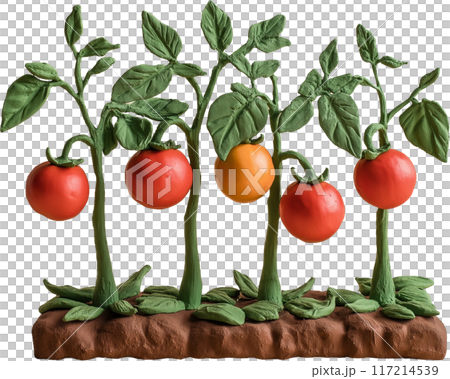 tomato with green leaves 117214539