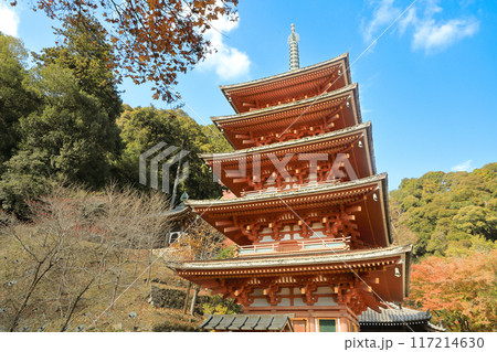 奈良　真言宗豊山派総本山大和国長谷寺の五重塔 117214630