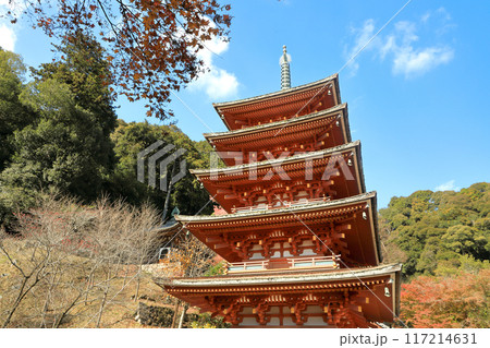 奈良　真言宗豊山派総本山大和国長谷寺の五重塔 117214631